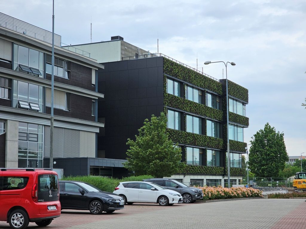 portfolio-image